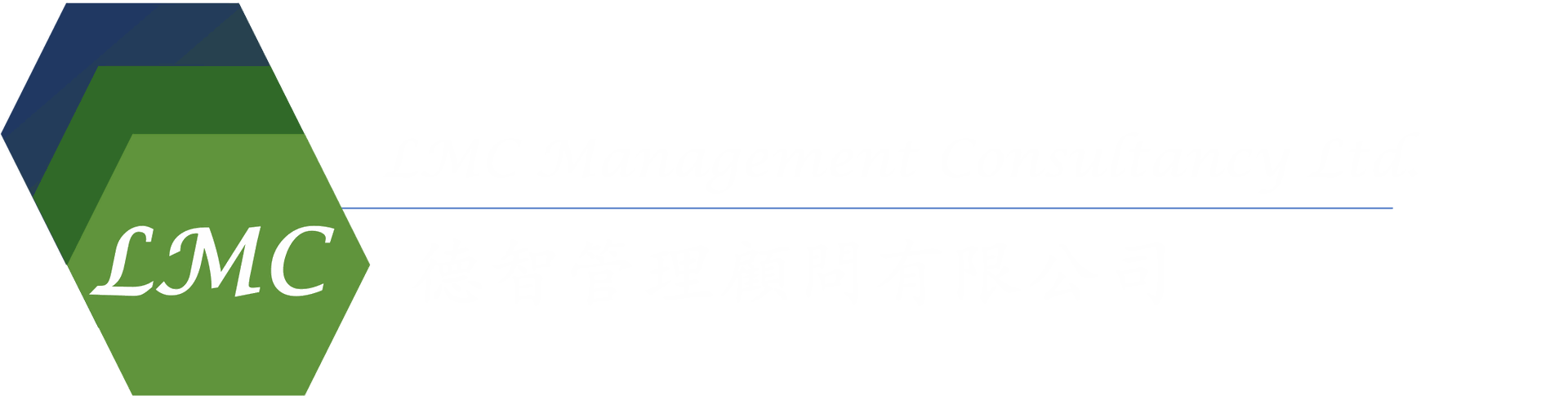 LMC Consulting